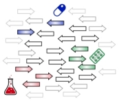 Functional prediction for the accessory genome